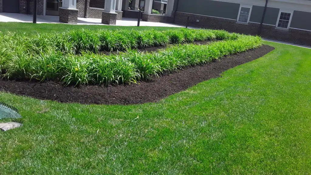 Striped freshly mowed sloping lawn in front of a Cape Cod style Connecticut home