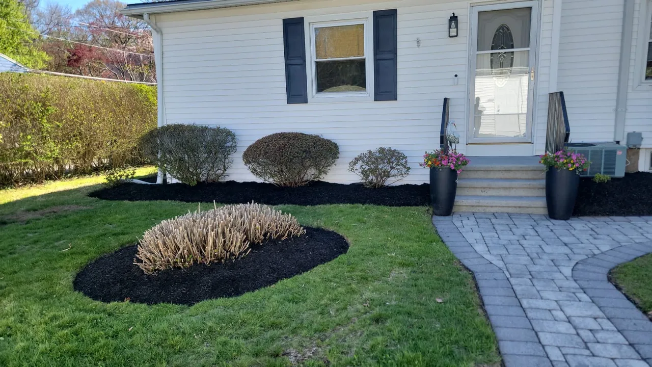 Freshly mulched garden bed with trimmed shrubs beside a brick paver walkway leading to a white house entrance