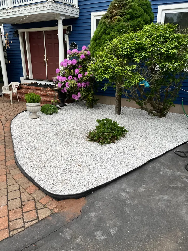 Sculpted Japanese maple and fresh mulch bed beside a light paver walkway at a home entrance